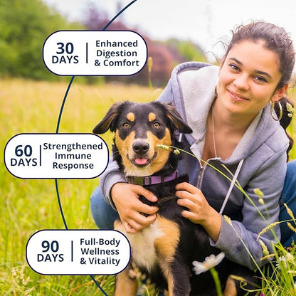 NOVEHA Probiotic Chews for Dogs | Ultimate Gut Health &amp; Digestive Support | for Healthy Skin &amp; Coat | Relieves Itching &amp; Paw Licking | Probiotics for Pet Dogs with Allergies (180 Chews 2-Pack)