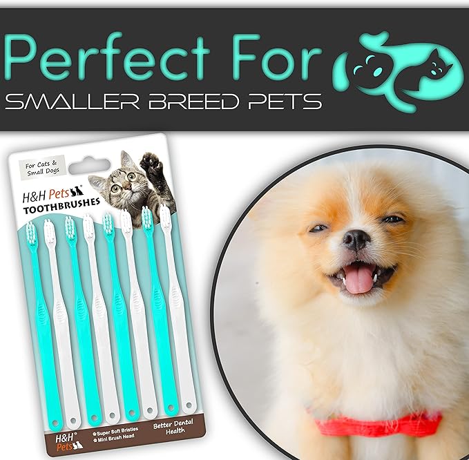 H&amp;H Pets Toothbrush for Small Dogs &amp; Cats - Soft and Extra Small Toothbrush Designed for Cats, Puppies, and XS Breed Dogs Like Teacups, Chihuahuas, Yorkshire, and Poodle, 8 Count Pack