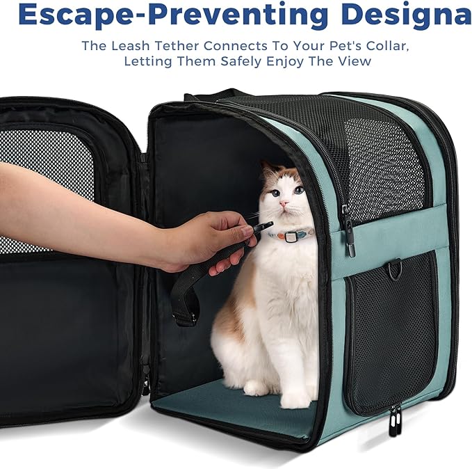 Apollo Walker Dog &amp; Cat Carrier Backpack for 4-15lb Pets - Ventilated Safe Design with Padded Back Support, Breathable Mesh Pet Backpack for Hiking, Travel, Outdoor (Blue)