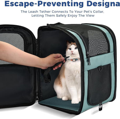 Apollo Walker Dog &amp; Cat Carrier Backpack for 4-15lb Pets - Ventilated Safe Design with Padded Back Support, Breathable Mesh Pet Backpack for Hiking, Travel, Outdoor (Blue)