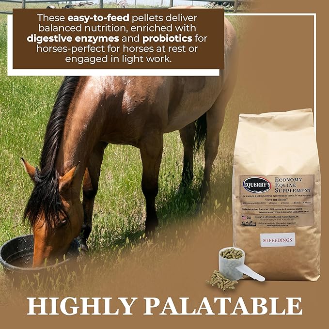 Equerry&