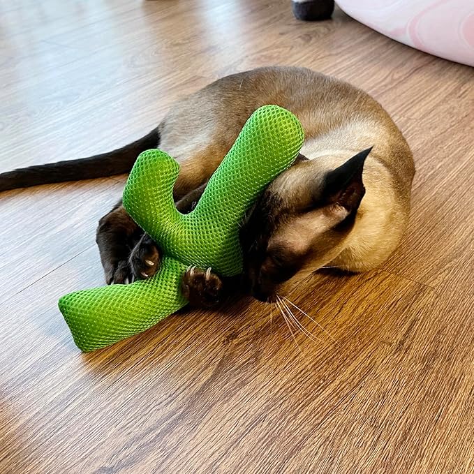 TTcat Catnip Silvervine Matatabi Pillow for Cats &amp; Kittens,Large Cat Cactus Toy Cat Kicker Toy Chew Toy for Indoor Cats.