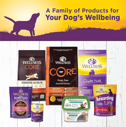 Wellness Complete Health Natural Wet Canned Dog Food, Chicken &amp; Sweet Potato, 12.5-Ounce Can (Pack of 12)