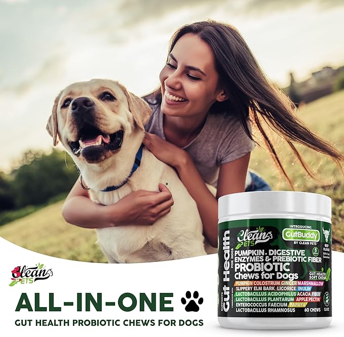 Probiotics for Dogs with Pumpkin, Colostrum, Digestive Enzymes, Ginger, Slippery Elm, Licorice, Inulin Fiber &amp; More | Beef Flavor Soft Chews for Gut Health and Digestion Dog Supplement