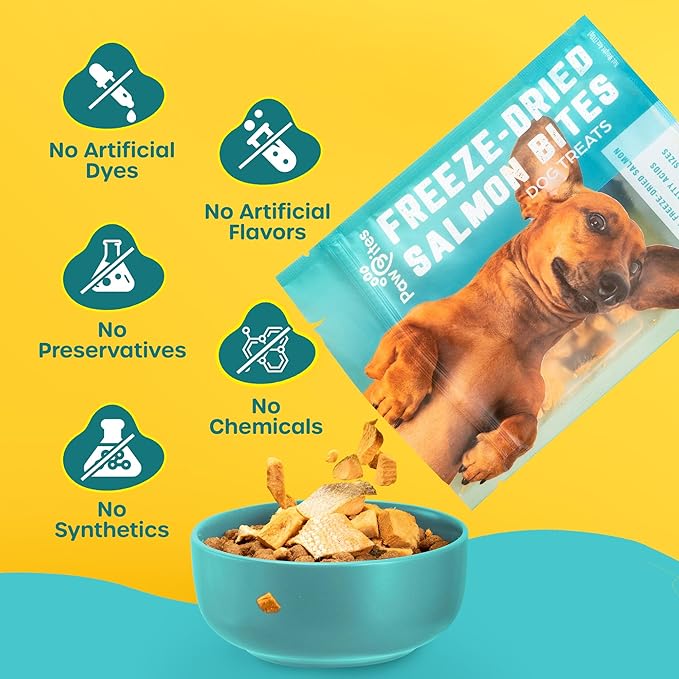 Freeze Dried Dog Treats - Wild Caught Salmon - Dog Food Dry Snacks - with Protein &amp; Omega 3s - for All Breeds &amp; Sizes - No Artificial Flavors &amp; Dyes, No Preservatives - 1 Pouch, 4 oz