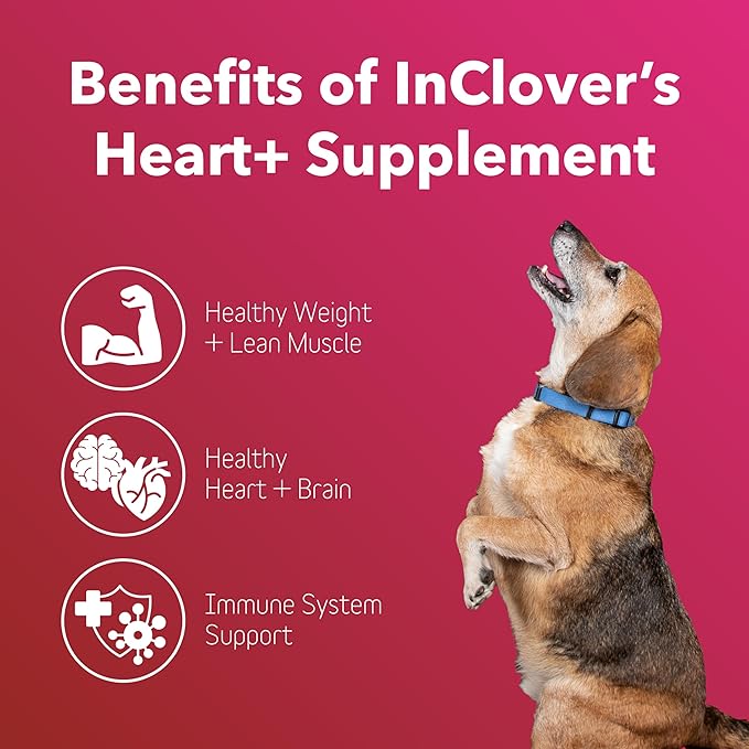 InClover Heart+ Dog and Cat Cardiac Health Supplement - Taurine Supplement for Dogs and Cats - Supports Heart &amp; Immune Health, Pet Supplement for Weight Management &amp; Senior Pet Health