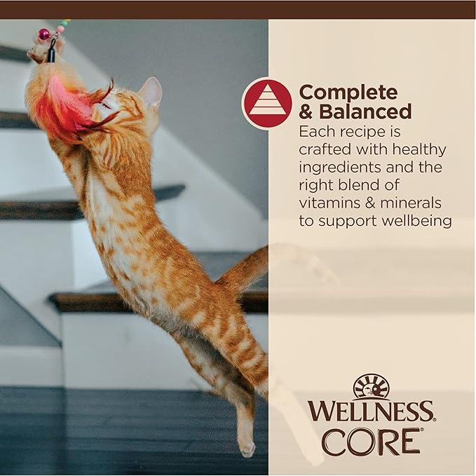 Wellness CORE Tiny Tasters Minced Adult Wet Cat Food, Natural, Protein-Rich, Grain Free, 1.75-Ounce Pouch, 12 Pack, (Chicken &amp; Beef)