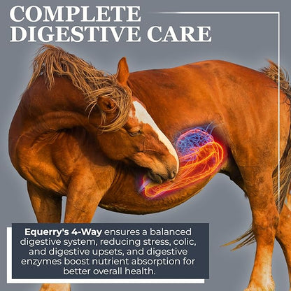 Equerry&