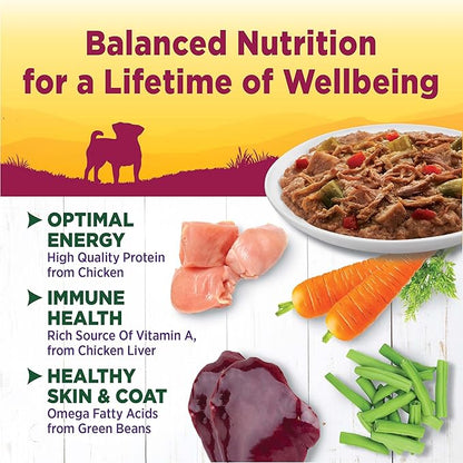 Wellness Petite Entrées Shredded Medley with Roasted Chicken, Beef, Green Beans &amp; Red Peppers, 3-Ounce Cup (Pack of 12)