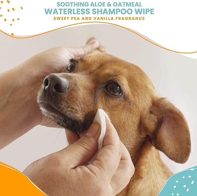 Nootie Waterless Shampoo Wipes for Dogs &amp; Cats (70 Wipes, Sweet Pea &amp; Vanilla)