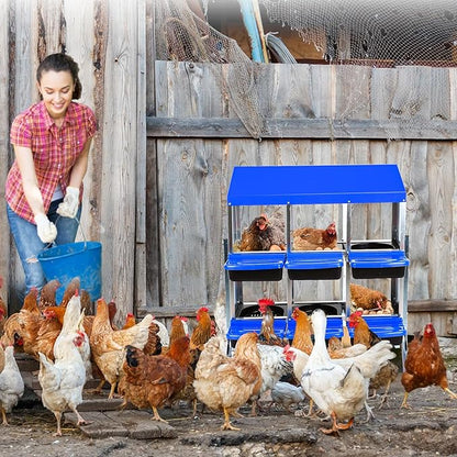 Chicken Nesting Box, 6 Hole 2 Layer Hen Nest Boxes with Legs, Roll Away Eggs Laying Boxes,Cleanable Pull Out Hen Roosting Boxes