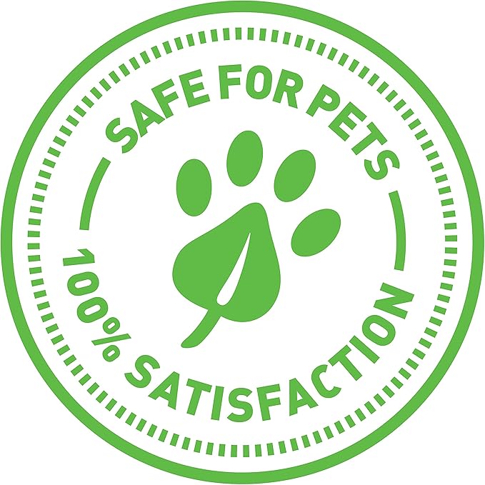 SmartyKat Scratch &