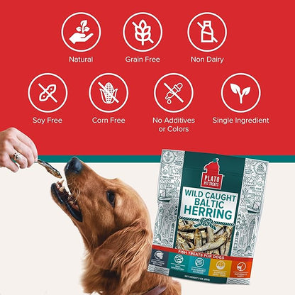 PLATO Pet Treats Fish Dog Treats - Air-Dried, Single Ingredient Dog Treat - with Omega 3 &amp; 6 Fatty Acids to Support Skin and Coat - 100% Whole Fish - Wild Caught Baltic Herring Dog Treats - 3oz