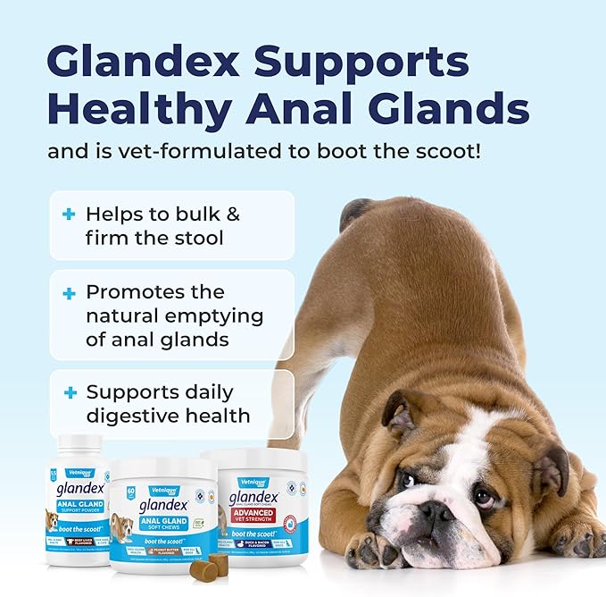Vetnique Labs Glandex Dog Fiber Supplement Powder for Anal Glands with Pumpkin, Digestive Enzymes &amp; Dog Probiotics for Digestive Health - Vet Recommended - Boot The Scoot (Pork Liver, 2.5oz Powder)