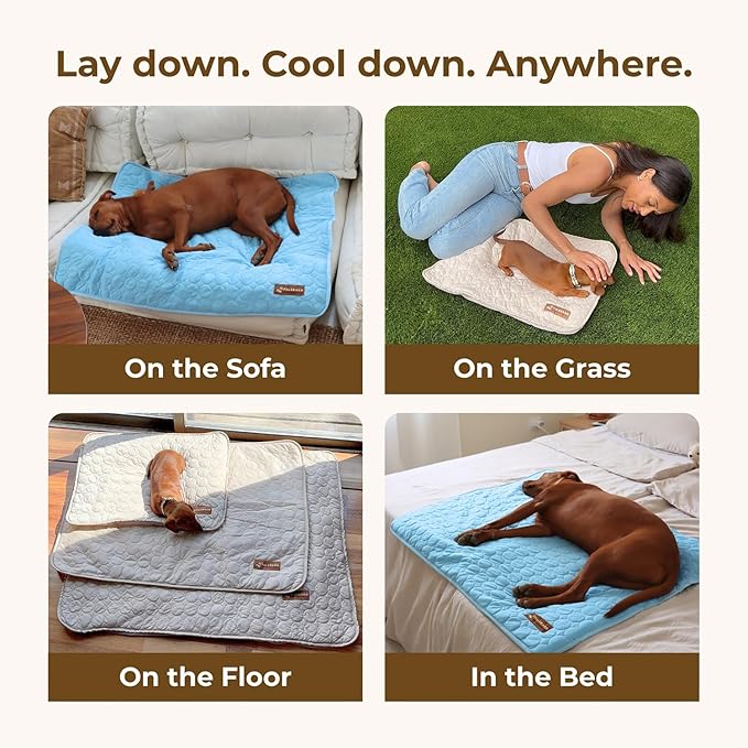 Dog Cooling Mat- Ice Silk Summer Comfort, Self Cooling, Non-Slip Dog Pad, Durable &amp; Washable, Mat for Medium Dogs 50x65 cm, Support Shelter Dogs with Every Purchase (Beige)