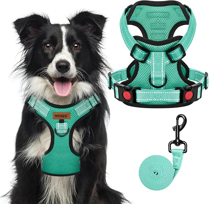 MIDOG No-Pull Dog Harness | Adjustable &amp; Reflective Pet Harness Leash Set for Small Medium Large Dogs Walking, Training| No Choke, Front Clip, Soft Padded Vest with Easy Control Handle - Green, XL