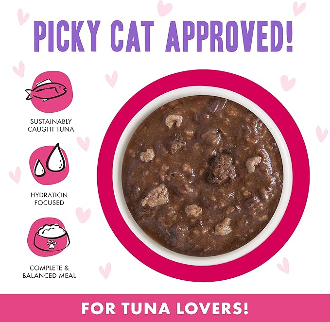 Weruva B.F.F. OMG - Best Feline Friend Oh My Gravy!, Tuna &amp; Duck Dilly Dally with Tuna &amp; Duck, 5.5oz Can (Pack of 8)