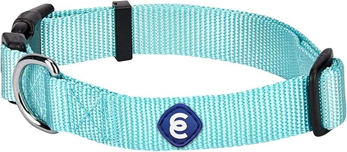 Blueberry Pet Essentials X-Small Dog Collar in Mint Blue | Adjustable &amp; Eco-Friendly Durable Nylon Strap | Classic Collar for X-Small Dogs, Boy &amp; Girl Pets