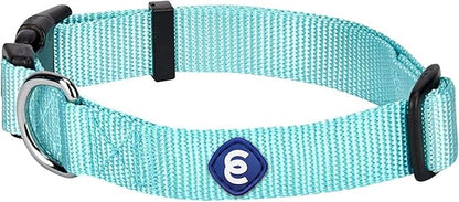 Blueberry Pet Essentials X-Small Dog Collar in Mint Blue | Adjustable &amp; Eco-Friendly Durable Nylon Strap | Classic Collar for X-Small Dogs, Boy &amp; Girl Pets