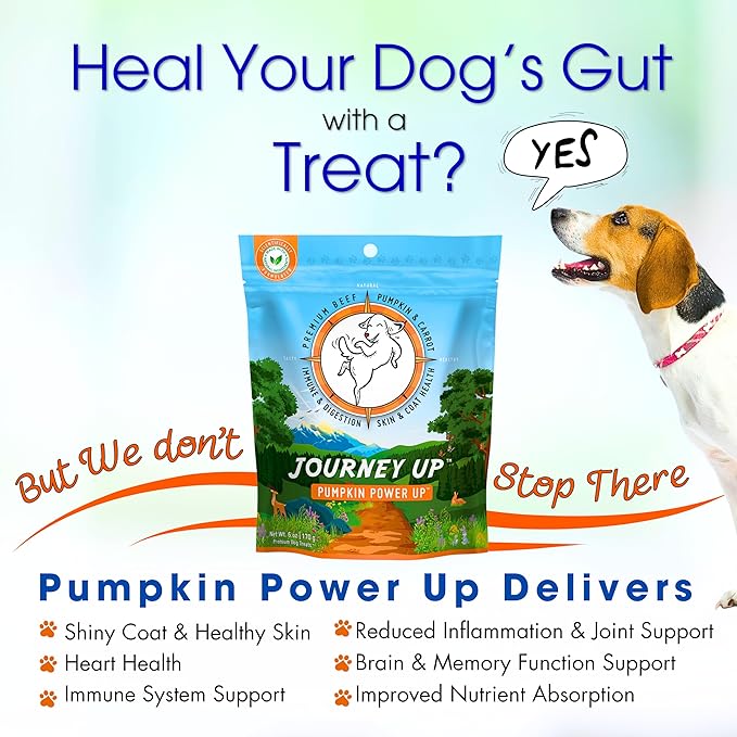 HappyTails Journey Up, Pumpkin Power Up Jerky Treats for Dogs with Beef, Pumpkin &amp; Carrots-Made in USA-Prebiotics for Gut &amp; Immune Health, Omega 3 &amp; 6 for Skin &amp; Coat, Small-Large Dogs, 6 oz.