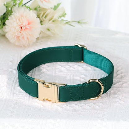 PET ARTIST Soft PU Leather Dog Collar, Bright Color &amp; Durable Dog Collar Leather with Rose Gold Quick Release Metal Buckle, Adjustable Nylon Padded Pet Collars for Medium Dogs, Neck Fit 13-19"