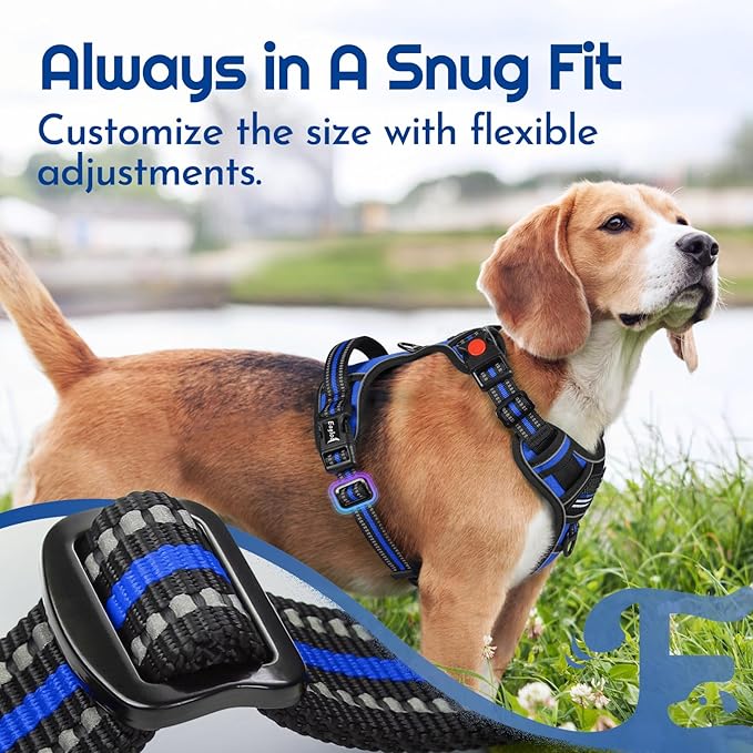Eagloo Dog Harness Small Sized, Easy Wearing with 3 Buckles, Adjustable No Pull Pet Harness with 2 Rings for Walking, No Chock Reflective Soft Padded Vest with Control Handle, Blue &amp; Black, S