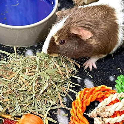Blue Mountain Hay | Fresh Organic Meadow Hay (15 Ounce) | Mimics Natural Forage | High-Altitude Hay Pet Food for Rabbits, Guinea Pigs, Chinchillas, Hamsters, and Other Small Pets