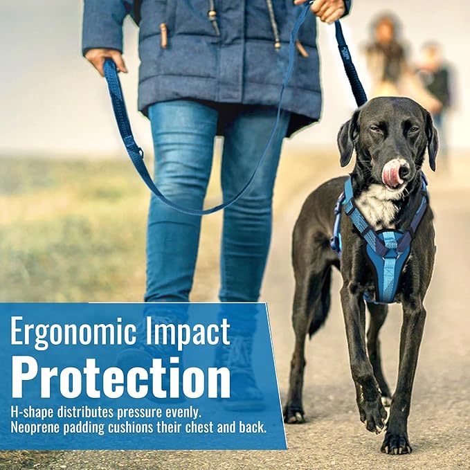 No-Pull Dog Harness with Handle - Escape Proof, Anti-Pulling, Grip Control, Multi-Angle Reflective for Safe Walks &amp; Training, Easy On &amp; Off, Metal Buckle–Pet Harness, Medium/Large Dogs- H4- Black