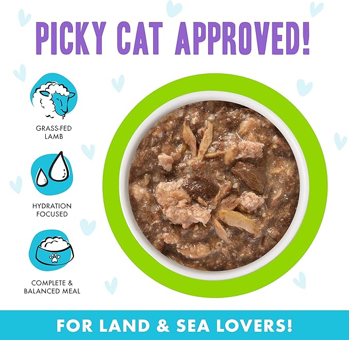 Weruva B.F.F. OMG - Best Feline Friend Oh My Gravy!, Shazaam! with Lamb &amp; Tuna in Gravy Cat Food, 2.8oz Pouch (Pack of 12)