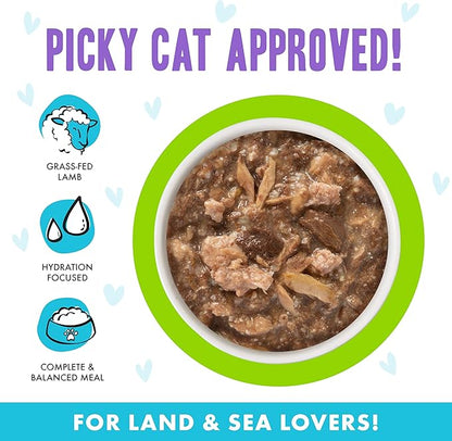 Weruva B.F.F. OMG - Best Feline Friend Oh My Gravy!, Shazaam! with Lamb &amp; Tuna in Gravy Cat Food, 2.8oz Pouch (Pack of 12)