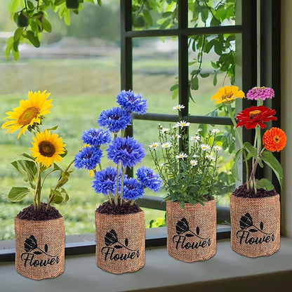 Indoor Daisy Garden Starter Kit, 4 Flower Seeds Growing into Shasta Daisy, Cornflower, Sunflower, Zinnia, Including Complete Gardening Tools, Christmas Gifts for Women Men &amp; Beginners