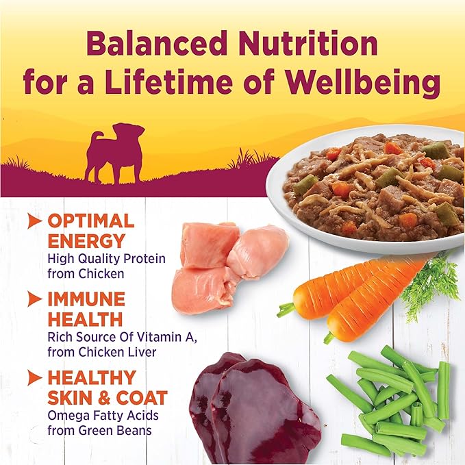 Wellness Petite Entrées Shredded Medley with Tender Chicken, Turkey, Carrots &amp; Green Beans, 3-Ounce Cup (Pack of 12)