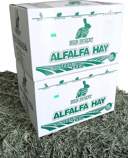 High Desert Alfalfa Hay for Rabbits, Guinea Pigs, Chinchillas &amp; Small Pets – Protein-Rich Natural Hay for Young, Growing Animals – High-Fiber, Hand-Packed, Additive-Free, Grown in USA – 10 lb Box