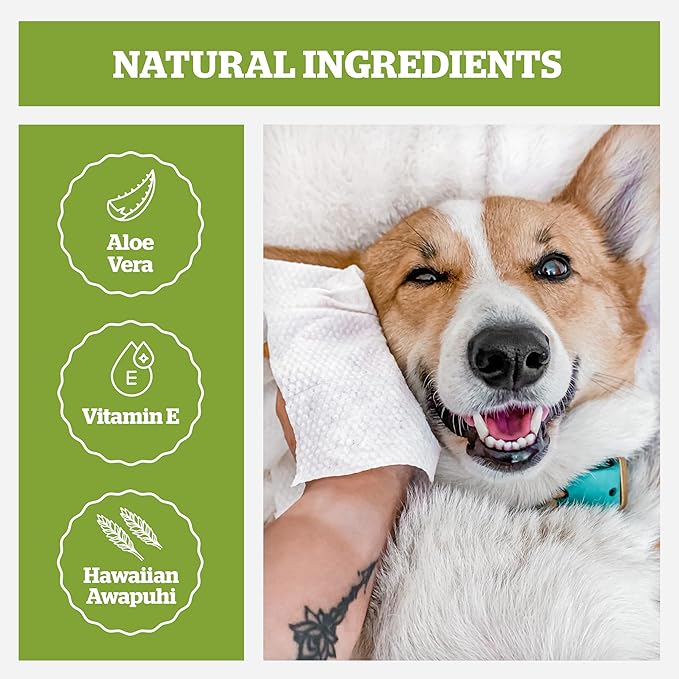 Pogi’s Dog Grooming Wipes – Hypoallergenic Pet Wipes for Paws, Body &amp; Butt – Cleaning &amp; Hydrating, Fragrance Free, 100-Count