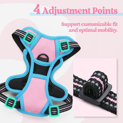 rabbitgoo Dog Harness No Pull with 2 Leash Clips, Adjustable Soft Padded, Reflective Oxford No Choke Pet Vest with Easy Control Handle for Puppy, Pink &amp; Blue, XS