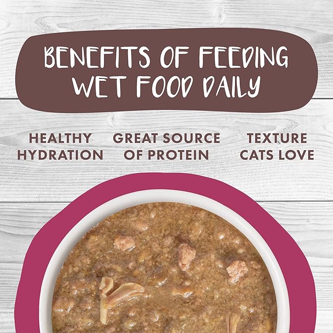 Weruva Classic Cat Stews!, Stewlander with Duck &amp; Salmon in Gravy, 2.8oz Can (Pack of 12)
