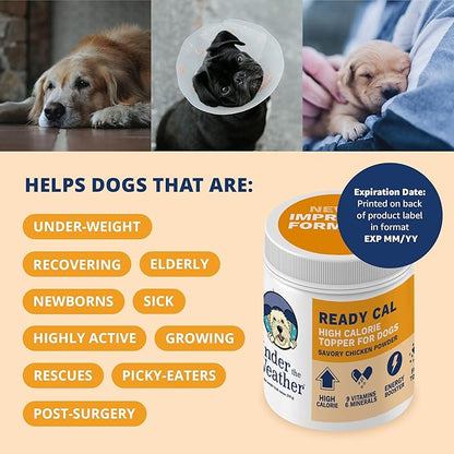 Under the Weather Ready Cal Powder for Dogs, High-Calorie Weight Gainer &amp; Appetite Stimulant, Dog Energy Booster Veterinarian-Approved Pet Supplement with Vitamins &amp; Minerals, Chicken Flavor |10.58 oz