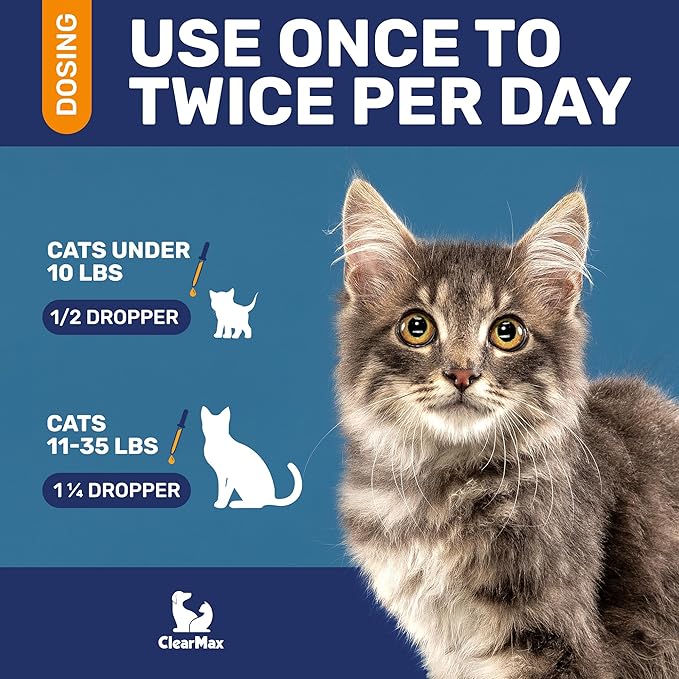 Cat Antibiotic to Help with Cough &amp; Allergies – Antibiotics for Cats to Aid with UTIs and Digestive Moments – HIPS &amp; Joints Support – Attractive Chicken Taste – 1 Oz Bottle