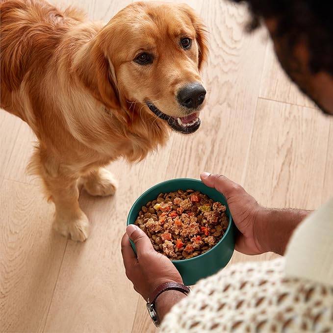 Jinx Chicken Dog Wet Food, Meal or Mix in Dog Toppers for Dry Food, Made with Real Chicken, Bone Broth &amp; Brown Rice, No Fillers, Puppy, Adult, Senior, 3oz, 8 Pack