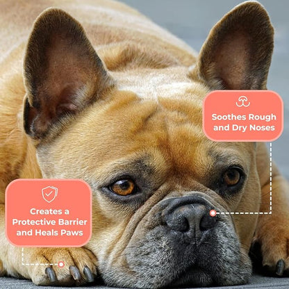 COAT DEFENSE Something Better Balm | Made in USA | Nose &amp; Paw Balm | Lick Safe, Healing and Deeply Moisturizing | Paw Soother for Dogs &amp; Dog Skin Soother (1.5 OZ)