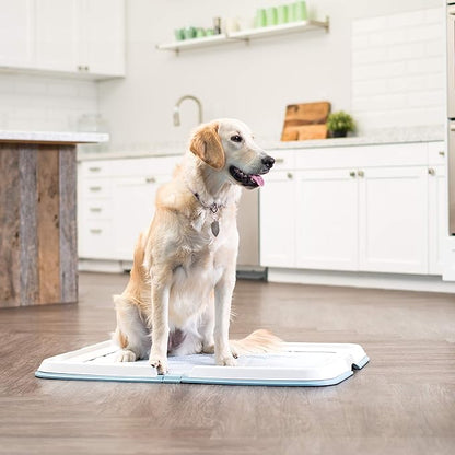 IRIS USA Pee Pad Holder - For Large Sized Puppy and Puppy Training Pads, Secured Latches, Non-Skid Feet, High Polish Finish for Easy Cleaning, Leak Protection, Fits 28"x 34" Pad or Larger, Square, Blue