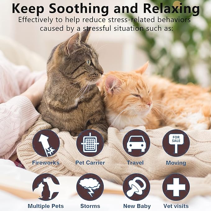 Wustentre 3 Pack Adjustable Anxiety Collar - Cat Calming Pheromones for Cats &amp; Kittens, Stress Reliever - Relaxing Comfortable Collar (Violet)