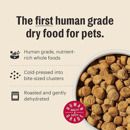The Honest Kitchen Whole Food Clusters Whole Grain Beef &amp; Oat Dry Dog Food, 1 lb Bag