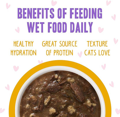 Weruva B.F.F. OMG - Best Feline Friend Oh My Gravy!, Tuna &amp; Turkey Tickles with Tuna &amp; Turkey in Gravy Cat Food, 3oz Pouch (Pack of 12)