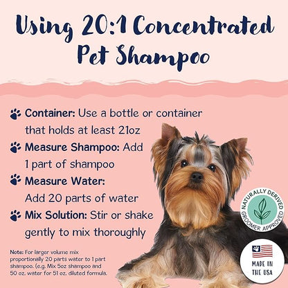 Bobbi Panter Dog Shampoo - Made in USA - All Natural Formula for Whitening All Coats, Enhances Shine &amp; Moiturizes - Concentrated 20:1 for Professional Groomers - Peach Scent, 13 Oz (Case of 12)