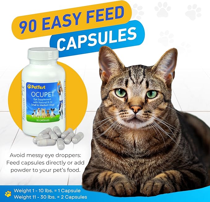 Ocupet Advanced Vision &amp; Eye Health Supplement for Cats &amp; Small-Medium Dogs, Packed with Natural B12, Grape Seed Extract &amp; Lutein to Support Pets with Diabetes or Eye Related Conditions-90 Capsules
