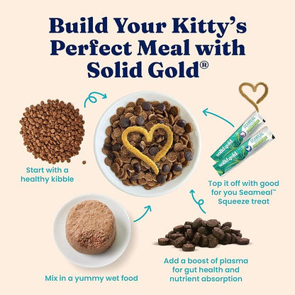 Solid Gold Wet Cat Food Pate in Coconut Oil - Healthy Canned Cat Food Pate w/Real Salmon, Omega Fatty Acids, Vitamins &amp; Minerals - Grain Free &amp; Gluten Free Canned Meals for Cats &amp; Kittens - 24ct/3oz