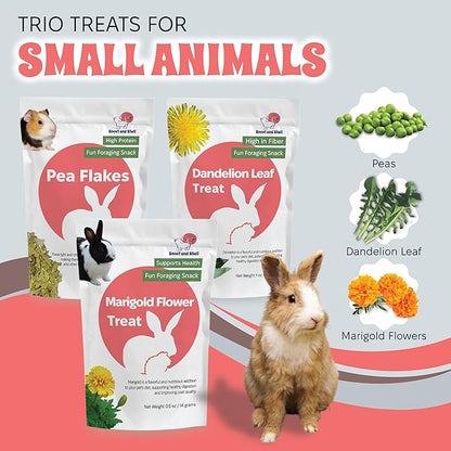 Snout and Shell Small Animal Treats – Pea Flakes, Dandelion Leaf (1oz), Marigold Flowers (0.5oz) – Natural Foraging Snacks for Rabbits, Guinea Pigs, Chinchillas, Hamsters &amp; More