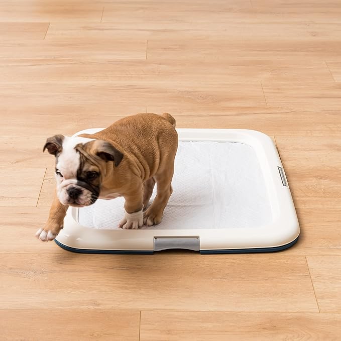 IRIS USA Pee Pad Holder - For Potty Training Regular Sized Dog &amp; Puppy Pee Pads, Secured Latches, Non-Skid Feet, Leak Protection, Fits 22"x22" Pad or Larger, Square, Navy
