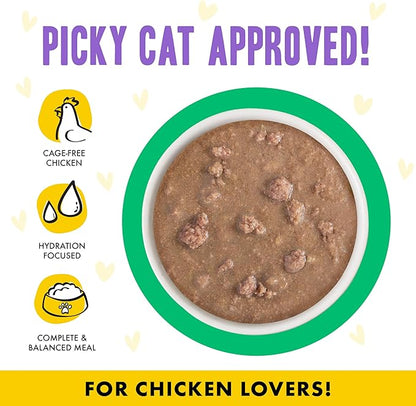 Weruva B.F.F. OMG - Best Feline Friend Oh My Gravy!, Chicken &amp; Turkey Text Me with Chicken &amp; Turkey in Gravy, 2.8oz Pouch (Pack of 12)